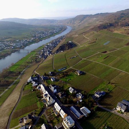 Moselie Ferienwohnung Kinheim Mosel Bagian luar foto