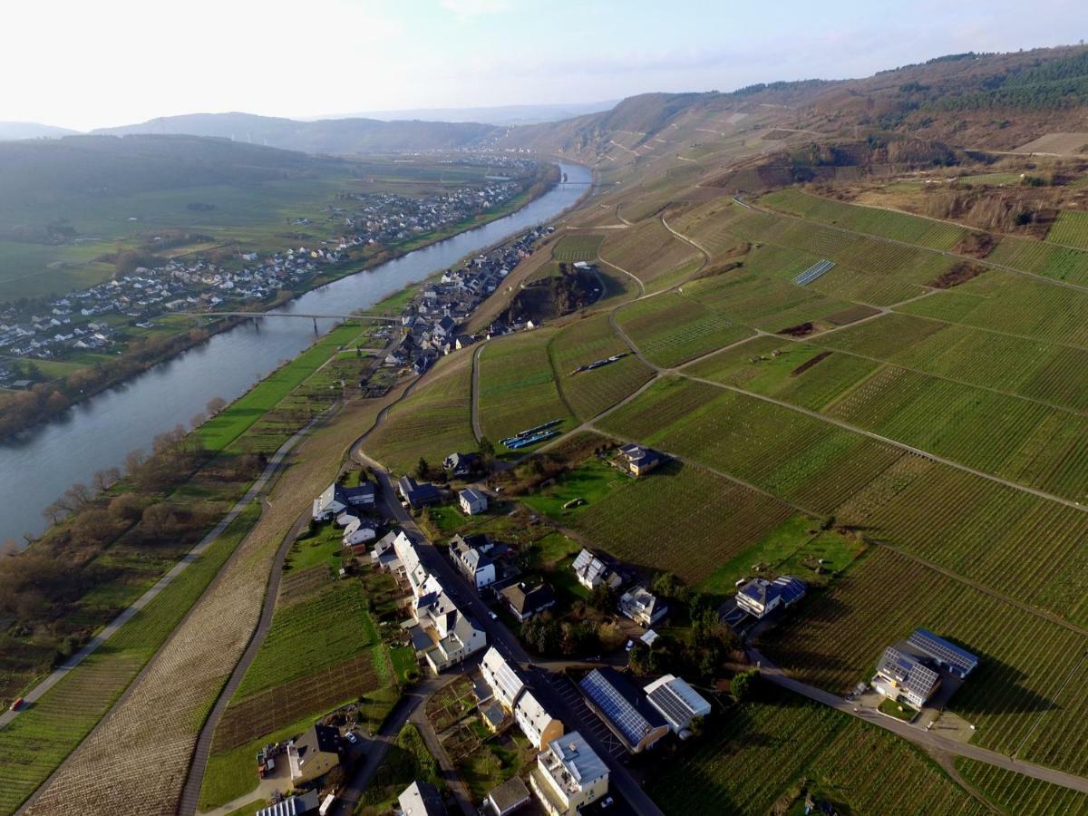 Moselie Ferienwohnung Kinheim Mosel Bagian luar foto