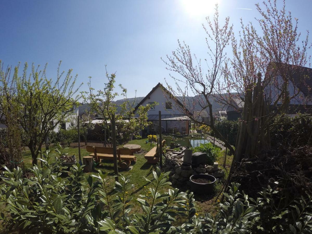Moselie Ferienwohnung Kinheim Mosel Bagian luar foto