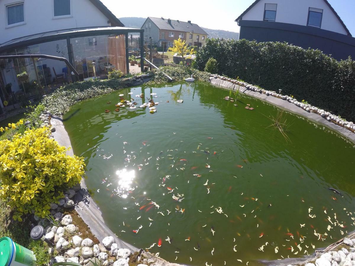 Moselie Ferienwohnung Kinheim Mosel Bagian luar foto