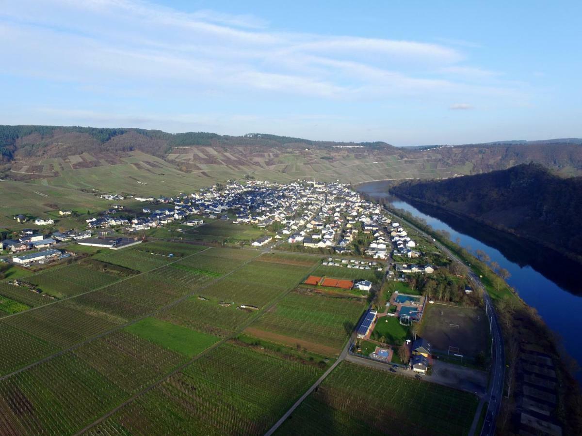 Moselie Ferienwohnung Kinheim Mosel Bagian luar foto